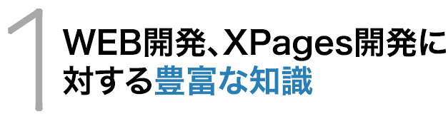 WEB開発、XPages開発に対する豊富な知識